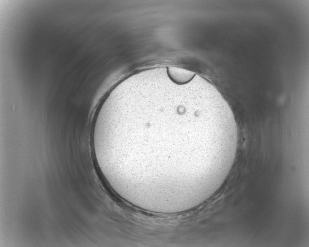 X0000056030004200509170049