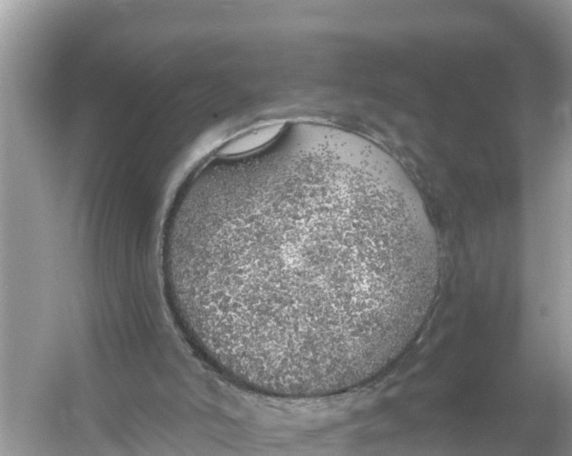 X0000056030006200509170049