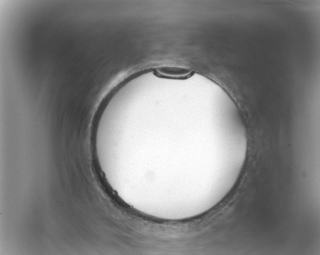 X0000056030008200509170048