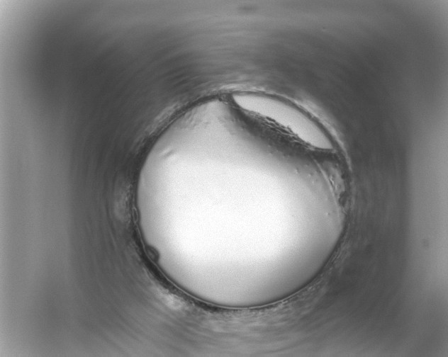 X0000056030009200509170048