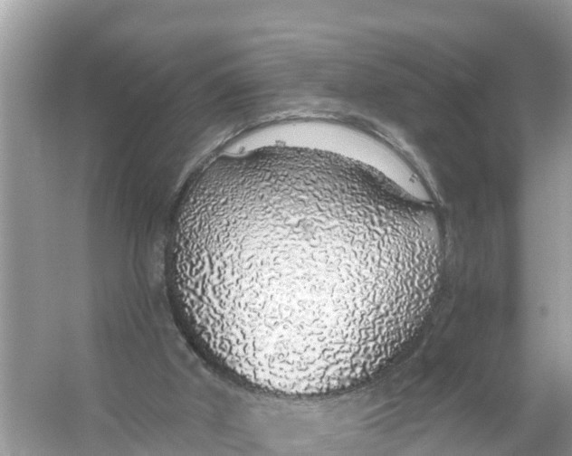 X0000056030010200509170048