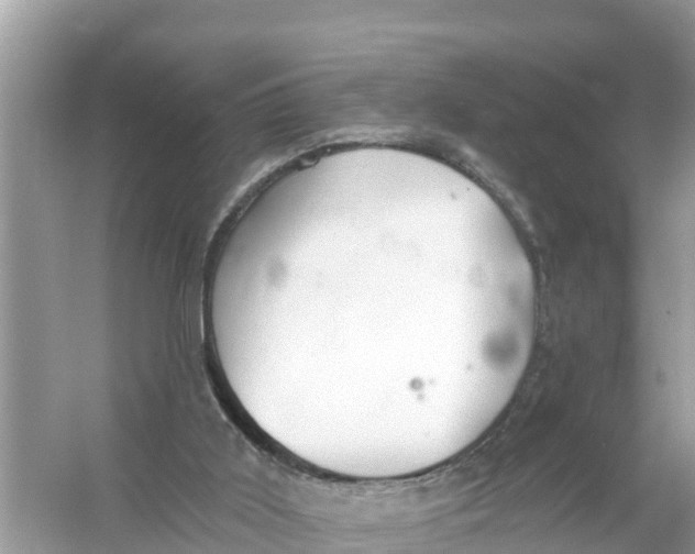 X0000056030011200509170048