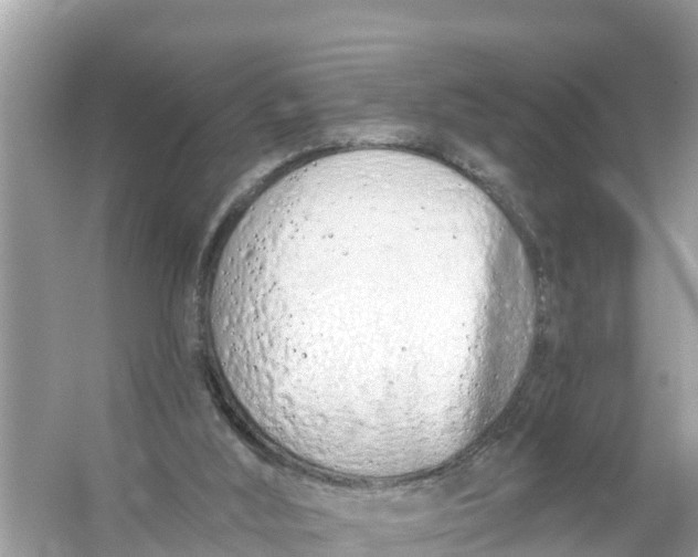 X0000056030012200509170048