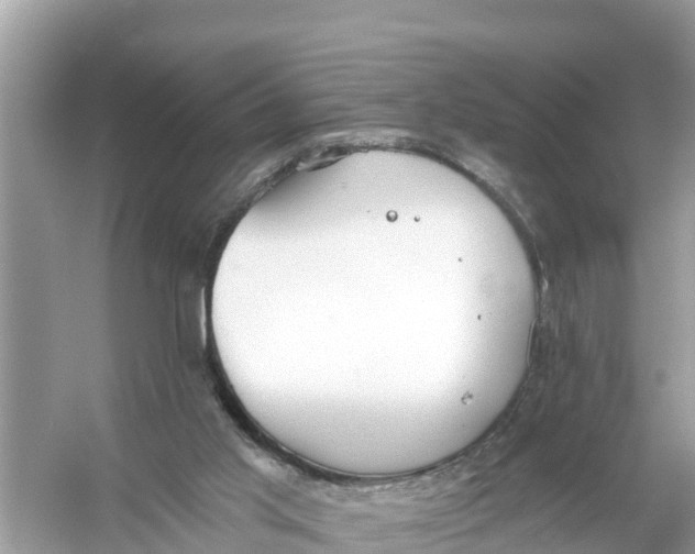 X0000056030013200509170048