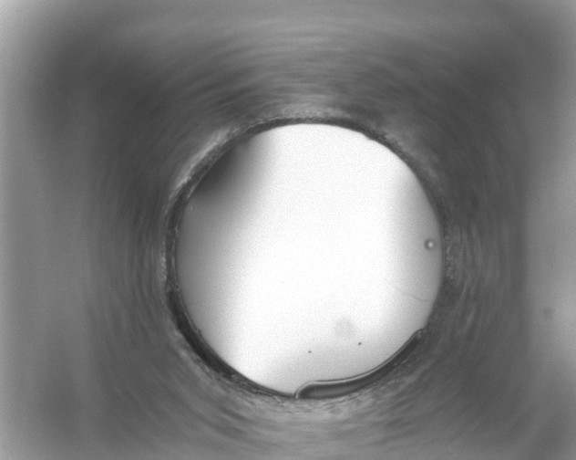 X0000056030015200509170048