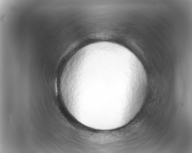 X0000056030020200509170048