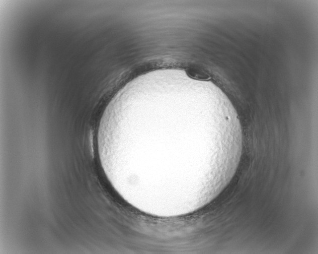 X0000056030022200509170048