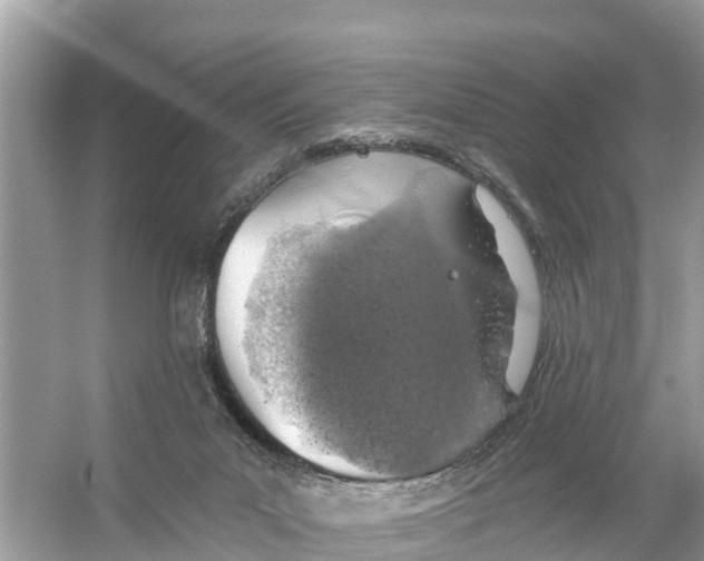 X0000056030023200509170048