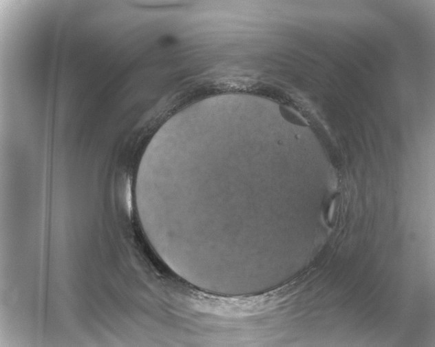 X0000056030027200509170048