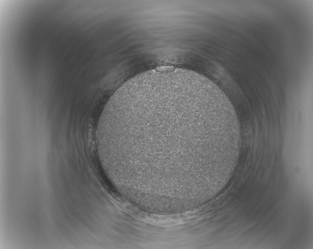 X0000056030029200509170048