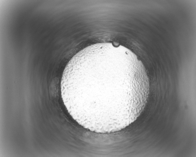 X0000056030030200509170048