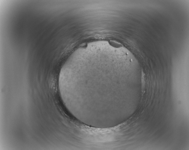 X0000056030031200509170048