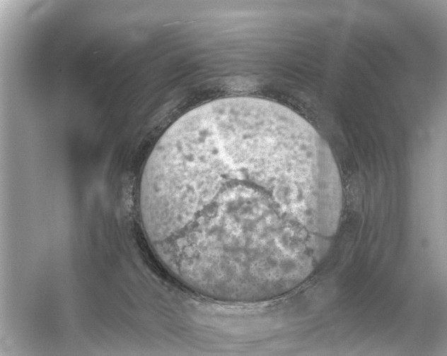 X0000056030032200509170048