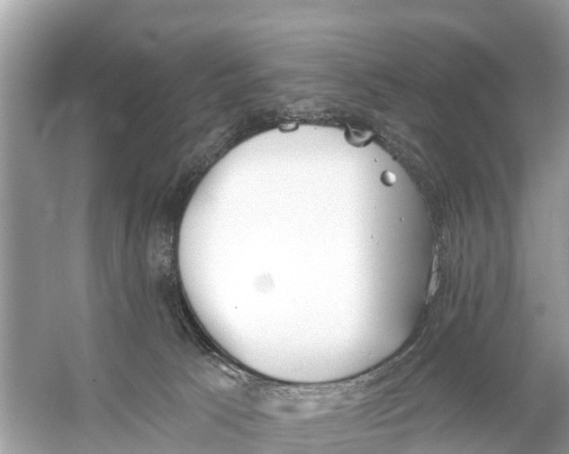 X0000056030033200509170048