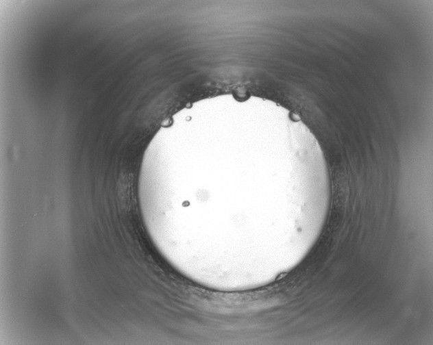 X0000056030034200509170048