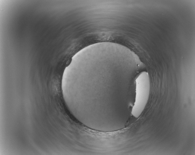 X0000056030035200509170048