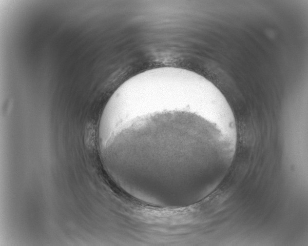 X0000056030036200509170048