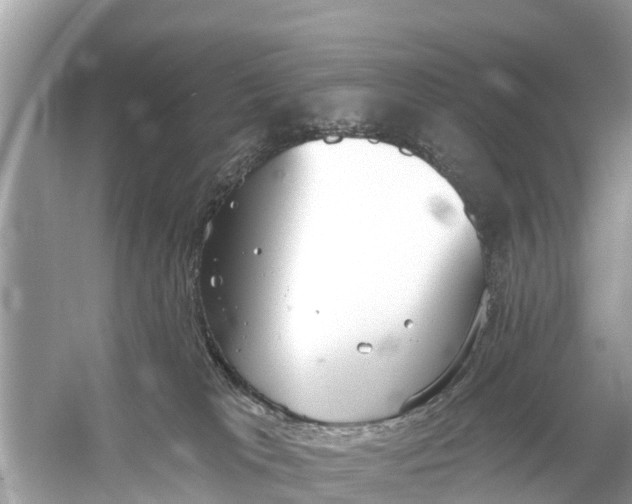 X0000056030037200509170048