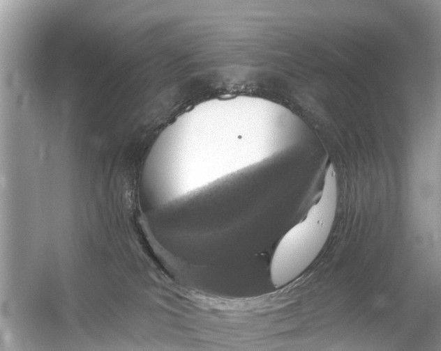 X0000056030039200509170048