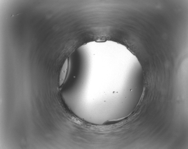 X0000056030041200509170048