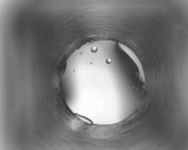 X0000056030045200509170048