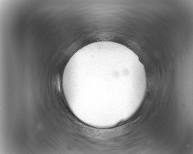 X0000056030046200509170048