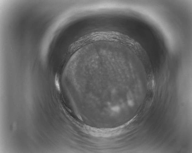 X0000056030047200509170048