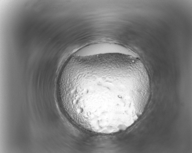 X0000056030049200509170047