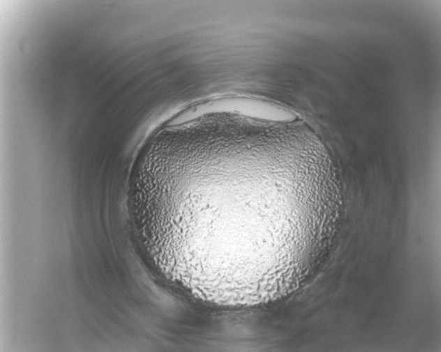 X0000056030050200509170047