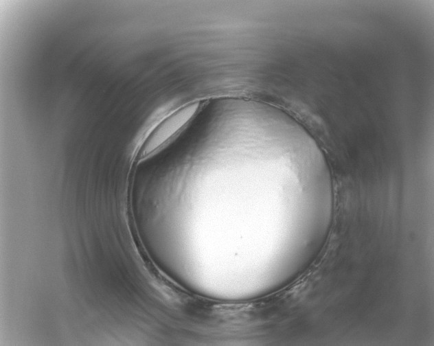 X0000056030051200509170047