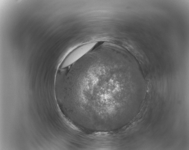 X0000056030052200509170047