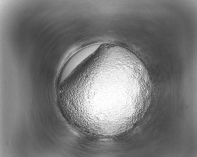 X0000056030053200509170047