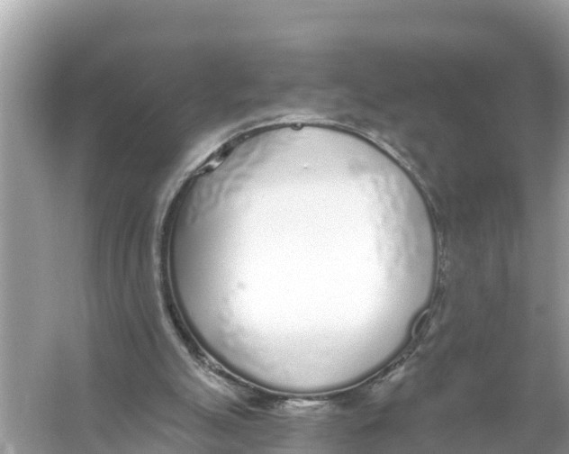 X0000056030055200509170047