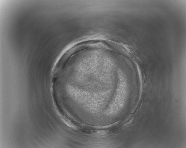 X0000056030056200509170047