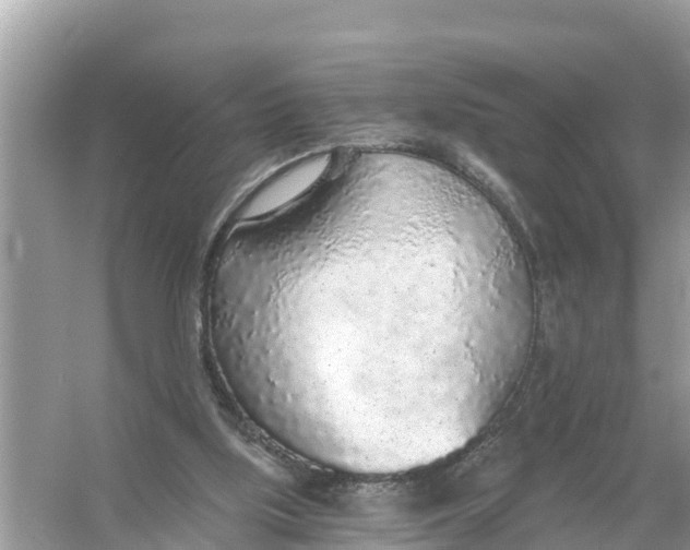 X0000056030059200509170047