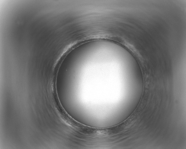 X0000056030060200509170047