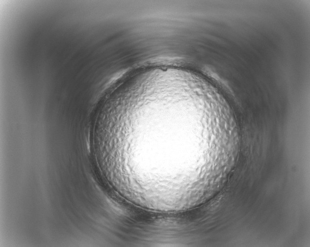 X0000056030062200509170047