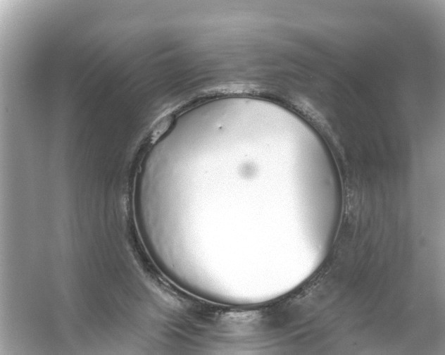 X0000056030063200509170047