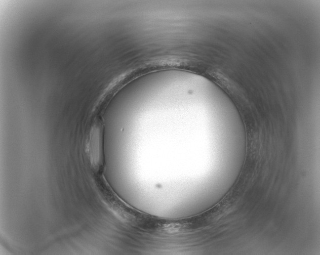 X0000056030064200509170047