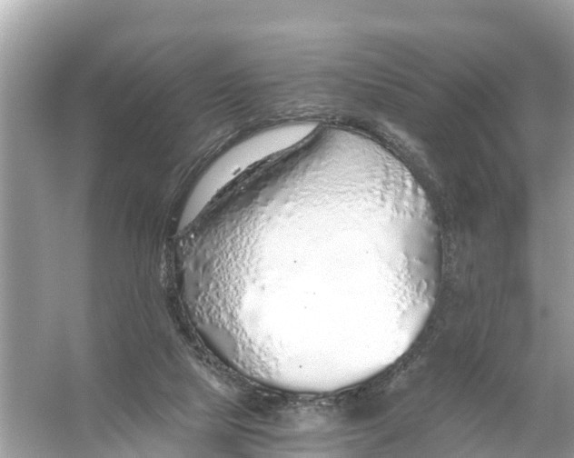 X0000056030065200509170047