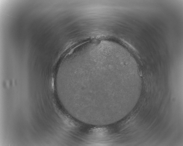 X0000056030067200509170047