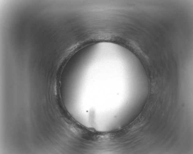 X0000056030068200509170047