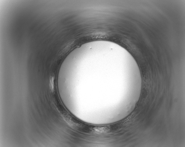 X0000056030070200509170047