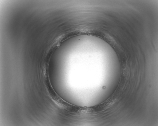 X0000056030072200509170047