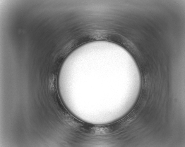 X0000056030073200509170047