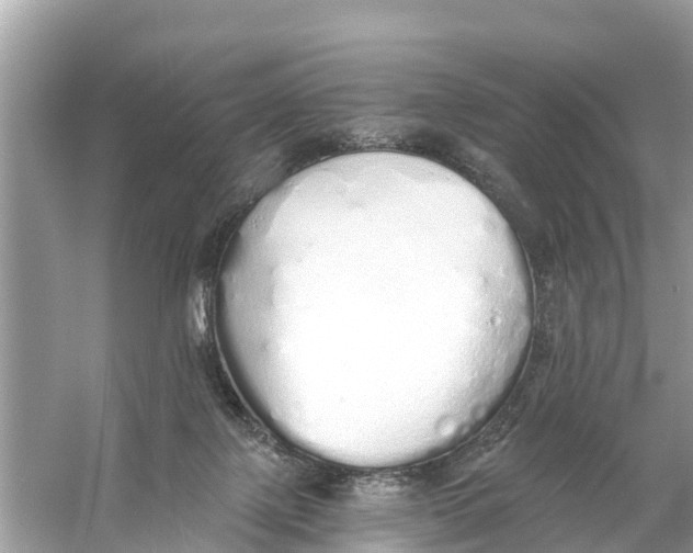 X0000056030075200509170047