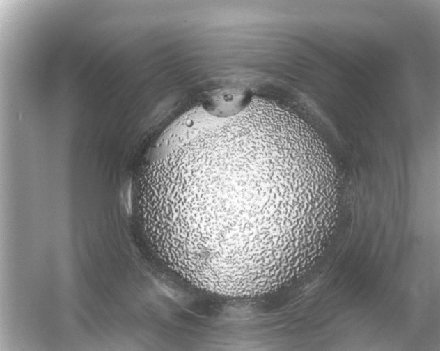 X0000056030076200509170047