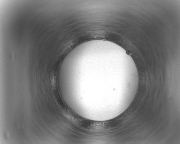 X0000056030084200509170048