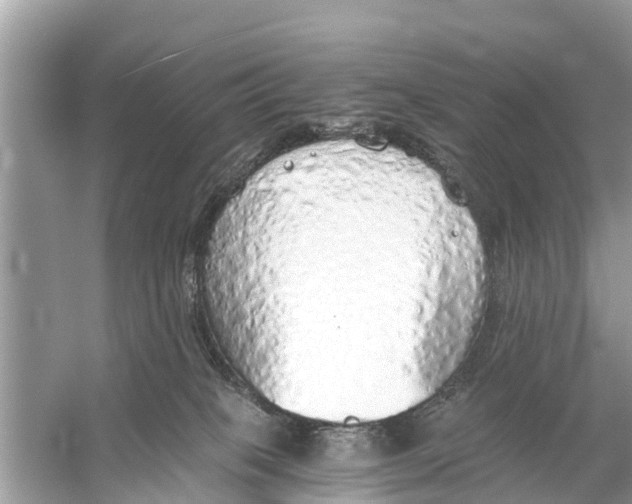 X0000056030085200509170048