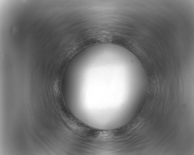 X0000056030088200509170048